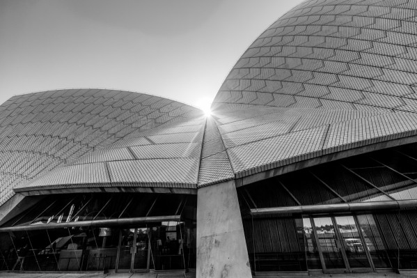Curves at the Opera House by DLPSquared
